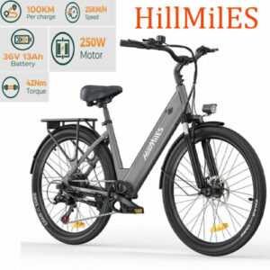 26 Zoll E-Bike Elektrofahrrad 250W Elektrisches Fahrrad Citybike Pedelec Fahrrad