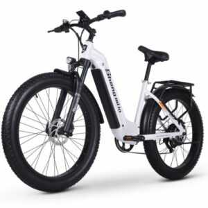 Elektrofahrrad 26 Zoll 1000W E-Bike 17.5Ah Pedelec 48V E-MTB 840Wh Mountainbike