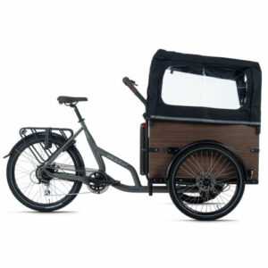 Adore Cargo E-Bike Urban Deluxe Plus grau 250W 36V, 13 Ah, 468 Wh 259E