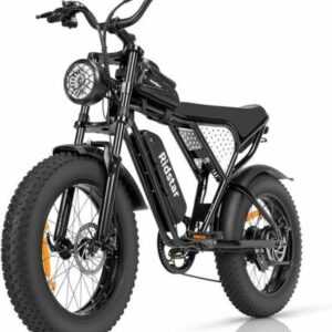 Elektrofahrrad 20 Zoll E-Mountainbike 1000W Fatbike 48V15AH Shimano E-bike EU