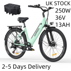 Trekking E-Bike 26 Zoll 44 cm 468 Wh HillMiles MileCity 1 Elektrofahrrad Grün