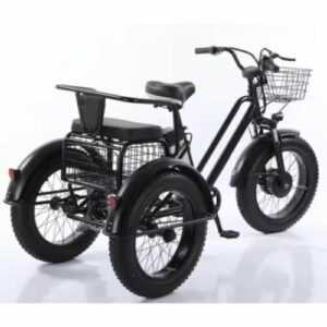 Elektro-Dreirad E-Bike 20 Zoll 3 Räder Fahrrad 500W Cargo Trike mit Rücksitz