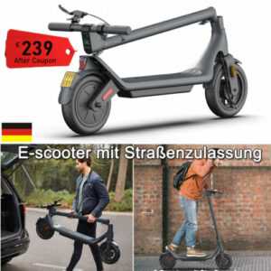 10 Zoll Elektroroller Elektro Scooter E-Scooter KickScooter mit Straßenzulassung