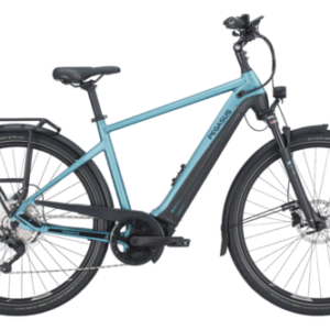 Pegasus Premio evo 10 lite E-Bike Pedelec Elektrofahrrad RH 60cm