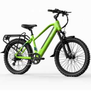 grüner Jugend E-Bike 24" MTB Pedelec 45Nm  Motor Akku 36V 10AH Jugendfahrrad