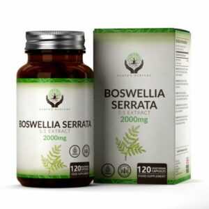 Boswellia Serrata | 120 2000mg 5:1 Extrakt - entzündungshemmende Gelenkpflege