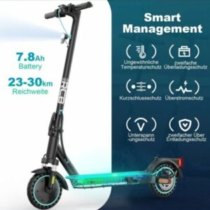 RCB EV85F E-scooter mit Straßenzulassung ABE  400w Doppelstoßdämpfer, 120 KG,