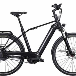 KETTLER E-Bike, QUADRIGA Pro Belt Automatik 58 cm, 750 Wh  Herbstschnäppchen