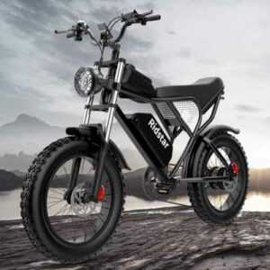 Ridstar Q20 MINI 20 Zoll Elektrofahrrad Off-Road E-Bike 1000W 15Ah 45km/H