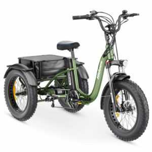 20 Zoll Elektro-Dreirad E-Bike 3 Räder Fahrrad 750W 48V/20A Cargo Trike tricycle