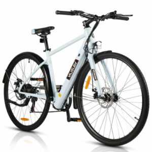 Elektrofahrrad 28 Zoll E-Mountainbike Bis 80 km 250W 36V 6 Gänge Herren E-Bike