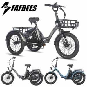 20 Zoll Fafrees F20 Mate 3-Rad Elektrofahrrad Elektro Dreirad E-Bikes mit Korb