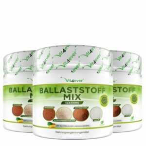 Ballaststoff-Mix - 1200g Pulver - Darmflore - Vegan - Leinsamen - MHD 08.2024!