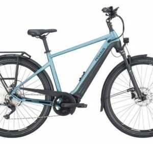 Pegasus Premio Evo 10 lite E-Bike Trekking Elektrofahrrad RH 55cm Performance CX