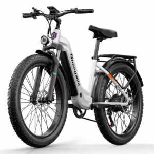 Elektrofahrrad 26 Zoll Mountainbike City Ebike 48V 17.5AH E-Bike Pedelec Fatbike