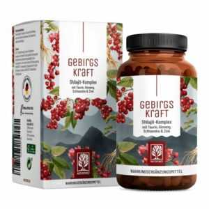 Shilajit-Komplex - Zink, Ginseng, Schisandra & Taurin - 90 Kapseln - NATURTREU®