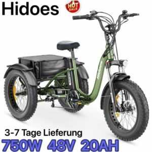 750W Elektro-Dreirad,20 Zoll E-Bike 3 Räder Fahrrad 48V20AH Cargo Trike tricycle