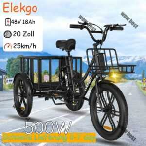 Elektro Dreirad E-Bike 20 Zoll 3 Räder Fahrrad 500W Cargo Trike mit Korb DE