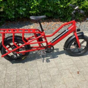 Lastenrad Cargo bike e Bike