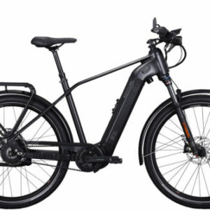 KETTLER E-Bike, QUADRIGA DUO CX SPEED 50 cm, 1250 Wh  Herbstschnäppchen