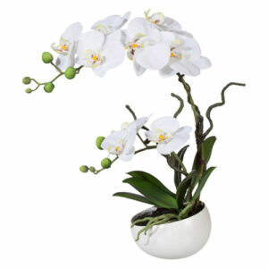 Kunstpflanze Phalenopsis (Orchidee), weiß, mit Deko-Keramik-Schale, H: 42 cm