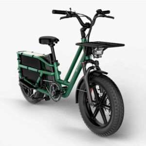 Fiido T2 Cargo Elektrofahrrad Long Tail Ebike 20Ah Abnehmbare Batterie E-Bike