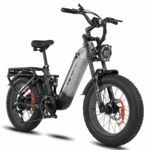 Cyrusher 20Zoll 20AH Elektrofahrrad Vollfederung Ebike Kommoda2.0 E-Mountainbike