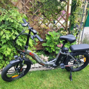 20 Zoll Klapprad Elektrofahrrad Fafrees F20 E-Bike 250W Pedelec 36V/16AH 25km/h