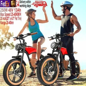 250W Dirt Electric Bicycle 48V 13A Mountain Bike Retro Offroad 20 Inch E-Bike