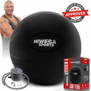 Gymnastikball Sitzball Fitnessball Sport Yoga Fitness mit Pumpe bis 400 kg 65 cm