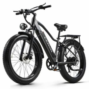 E Bike Elektrofahrrad 26 Zoll E Mountainbike 48V 20Ah Moped Trekking ebike