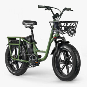 Fiido T1 Pro Grün Cargo Elektrofahrrad E-Bike 20Ah Abnehmbarer Akku E-Bike