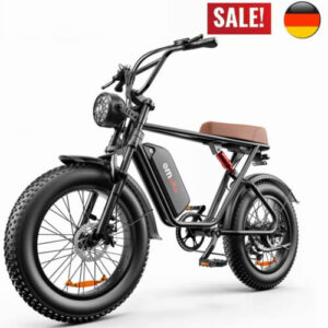 1000W Elektrofahrrad 48V 17.5Ah Fat Tire Mountainbike 20" Offroad E-Bike Moped