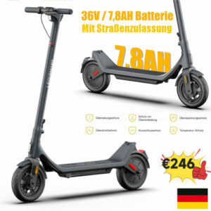 10 Zoll E-Scooter mit Straßenzulassung ABE Elektroroller Max 30km Reichweite