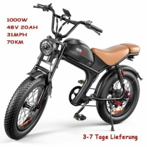 20 Zoll 1000W Elektrofahrrad 48V 20Ah Fat Tire E-Mountainbike Offroad E-Bike