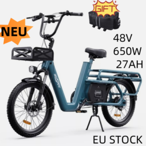 ONESPORT 20Zoll Cargo Bike Elektro-Dreirad  27AH Elektrofahrrad e-Bike 25km/h