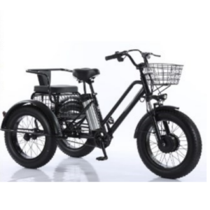 3 Räder Elektrofahrrad 20 Zoll Elektro Dreirad 500W E-Bikes mit 2 Korb 40km/h