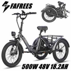 Fafrees F20 Mate 3-Rad Elektrofahrrad 20 Zoll Faltbares E-Bike Dreirad mit Korb