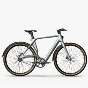 Fiido Air Leichtes Carbon E-bike Das Leichteste E-bike Reddot Award Gewonnen Hat