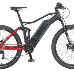 PROPHETE E-BIKE GRAVELER e9000 RH 48 cm 27,5 Zoll 497 WH 250 W 48 V 10 Gänge