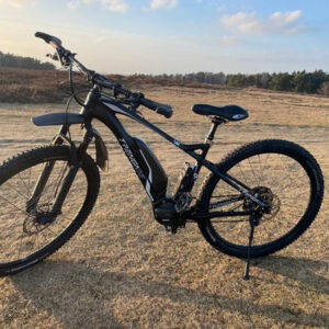 Prophete E-Bike Entdecker 2.0 RH 54 cm  28 Zoll 360 Wh 250 W 36 V 8 Gänge