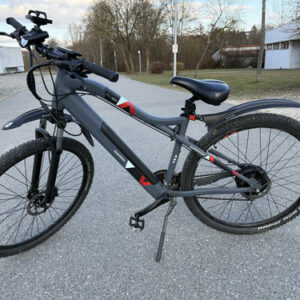 e bike herren