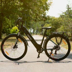 Eskute 28'' Elektrofahrrad E-Bike mit Bafang Motor Akku 14,5Ah 7-Gänge EU-Lager