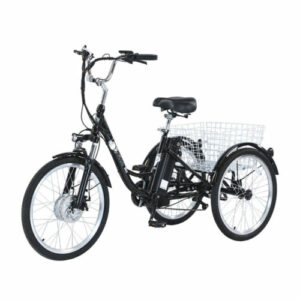 GOGOBEST GF100 Upgegradet 20AH E-Dreirad Fahrrad 350W 7 Gänge 40N.m Schwarz