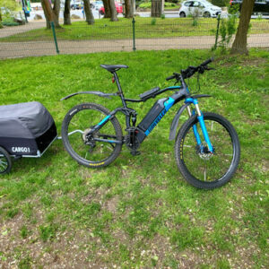 PROPHETE E-Bike ENTDECKER 1.0 RH 50 cm 28 Zoll 418 Wh 250 W 36 V 8 Gänge Schwarz